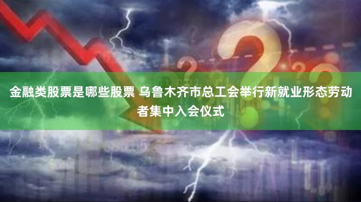 金融类股票是哪些股票 乌鲁木齐市总工会举行新就业形态劳动者集中入会仪式