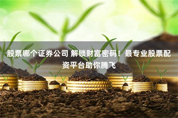 股票哪个证券公司 解锁财富密码！最专业股票配资平台助你腾飞