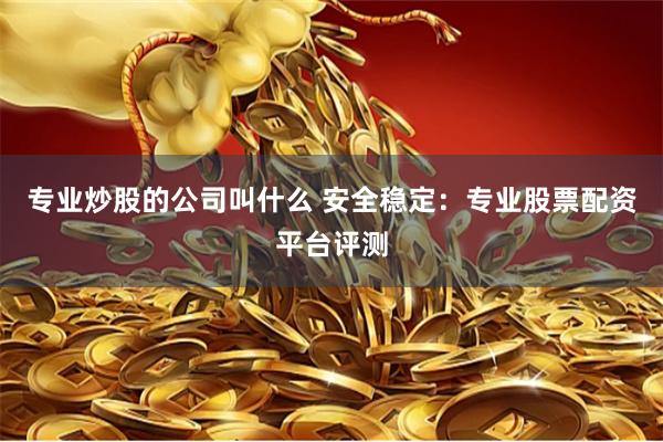 专业炒股的公司叫什么 安全稳定:专业股票配资平台评测